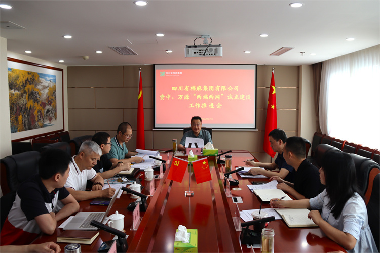 鄧華主持召開資中、萬源“兩端兩網(wǎng)”試點建設(shè)工作推進(jìn)會